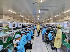 蘇寧拼購拼拼工廠再升級 老人機企業擁抱互聯網銷售，迎來增長新動力